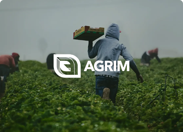 Agrim- B2B marketplace
